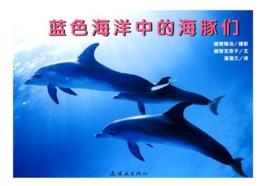 藍色海洋中的海豚 藍色海洋中的海豚