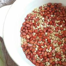 紅豆薏仁燕麥粥