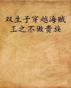 雙生子穿越海賊王之不做貴族 雙生子穿越海賊王之不做貴族