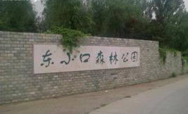 東小口村森林公園