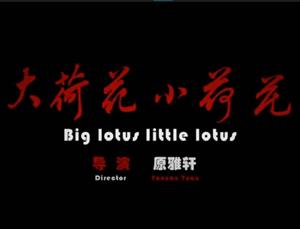 大荷花小荷花 大荷花小荷花