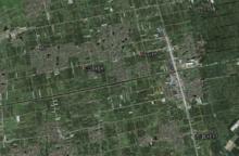 王屯村[江蘇省徐州市豐縣華山鎮王屯村]