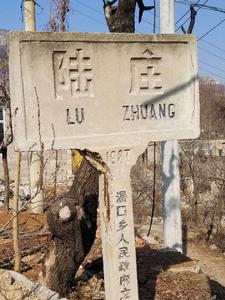 陸莊村[山東省棗莊市市中區齊村鎮陸莊村]