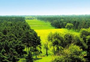 海洲窩堡鄉 海洲窩堡鄉