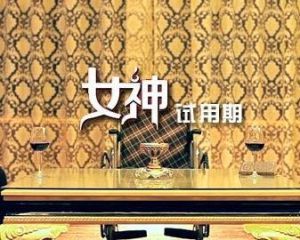 女神試用期 女神試用期