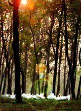 故黃河二壩濕地風光