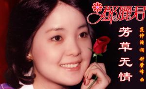 芳草無情 芳草無情