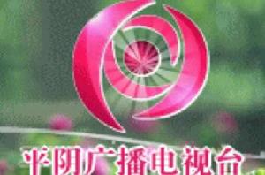 平陰廣播電視台 平陰廣播電視台