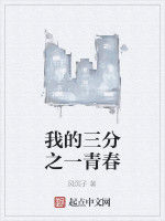 我的三分之一青春 我的三分之一青春