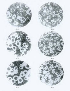 球磨鑄鐵 球磨鑄鐵