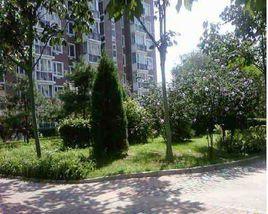 百旺新城秋露園 百旺新城秋露園