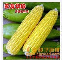 農友華珍 農友華珍