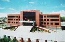 龍羊峽工、行委