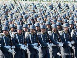 智利軍隊 智利軍隊