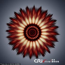 形態萬千 形態萬千