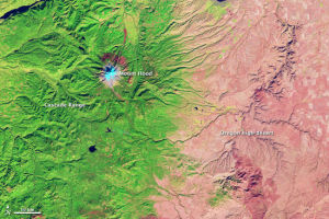 美國宇航局地球觀測站2012年9月24日公布了一張衛星照片，展示了美國俄勒岡州由於雨影效應而造成的奇特植被景觀。