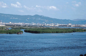 關渡自然保留區