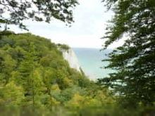 原始山毛櫸森林和歐洲其他地區