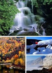 海林[黑龍江省牡丹江市下轄市]