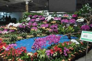 泰安花樣年華 泰安花樣年華