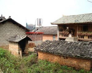 芒局自然村 芒局自然村