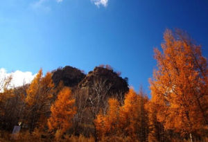 大青山自然保護區 大青山自然保護區