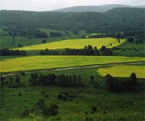 大二號回族鄉 大二號回族鄉