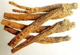 巫山的廟參 巫山的廟參