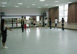 高考影視表演 高考影視表演