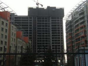 千禧龍花園 千禧龍花園