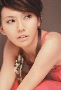 我懷念的[孫燕姿演唱歌曲]