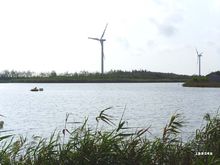 上海濱海森林公園