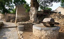 董家村寺廟遺址 董家村寺廟遺址