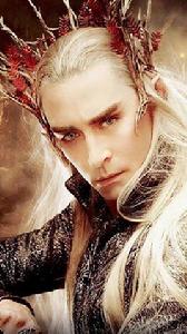 瑟蘭督伊 瑟蘭督伊