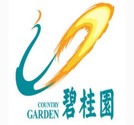 碧桂園教育集團 碧桂園教育集團