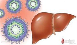 B型肝炎核心抗體 B型肝炎核心抗體