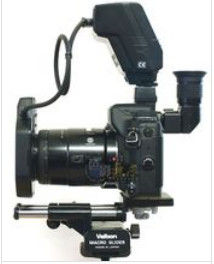 比較理想的微距拍攝裝備