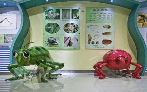 上海昆蟲博物館