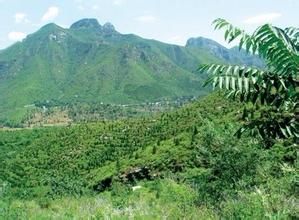 上中院村 上中院村