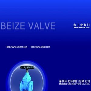 深圳北澤閥門有限公司 深圳北澤閥門有限公司