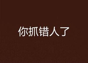你抓錯人了 你抓錯人了