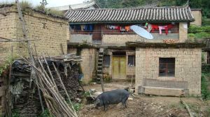 富民自然村 富民自然村