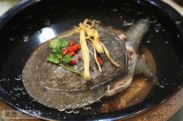 黨參沙參燉甲魚 黨參沙參燉甲魚