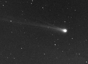 池谷·張彗星 池谷·張彗星