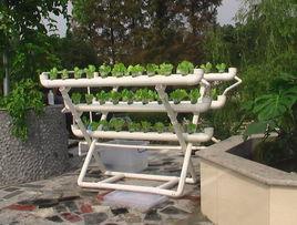 管道式栽培 管道式栽培