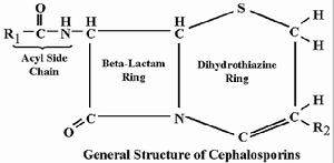 頭孢羅奇 頭孢羅奇