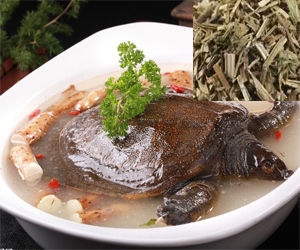 澤蘭燉水魚