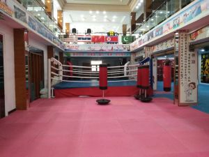 澳華搏擊俱樂部 澳華搏擊俱樂部