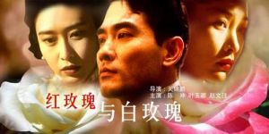 《紅玫瑰與白玫瑰》