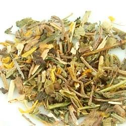 曲直瀨流醫術 曲直瀨流醫術